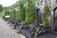影响公墓价格的因素有哪些？