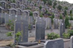 为什么要提前买公墓？提前买墓地好不好？