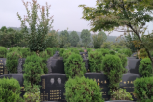 重庆灵安陵园怎么样？