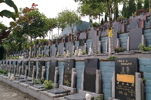 巴南宝山公墓怎么样？