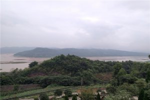 陵园环境