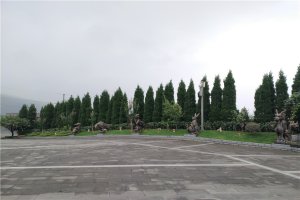 道路景观