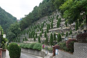 墓区环境