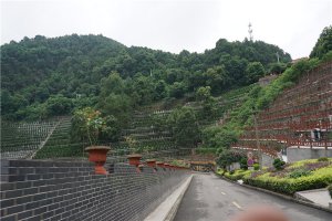 道路