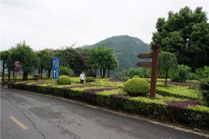道路一侧