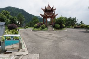 塔