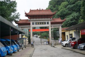 大门