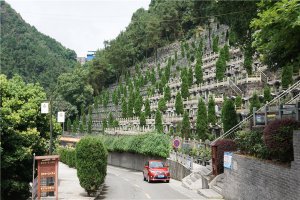 道路侧面