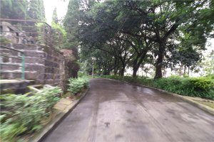 道路