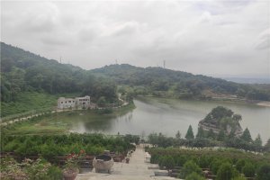 水系景观