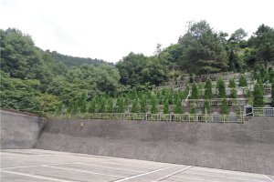 陵园一角