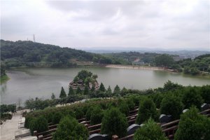 绿化和水系