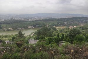 绿景