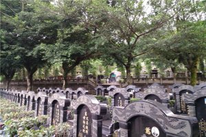 墓区侧面