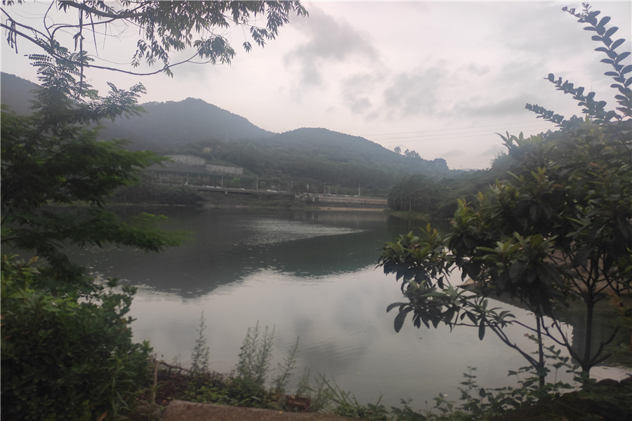 陵园环境