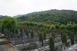 墓区环境