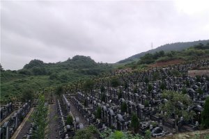 墓区环境