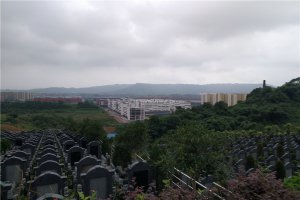 绿化景观