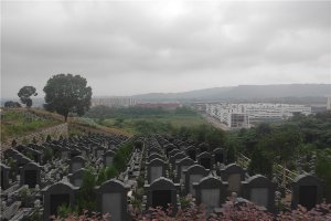 墓区环境