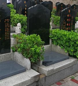 望江园立碑1