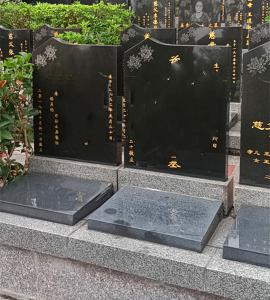 望江园立碑5