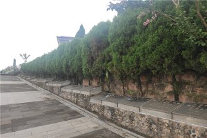 环境