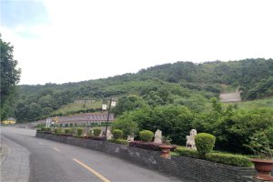 道路