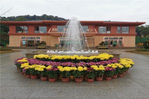 花坛景观