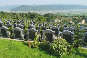 墓区绿地