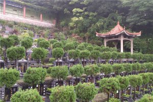 墓区