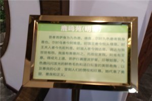 公告栏