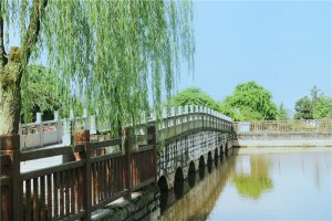 水系景观