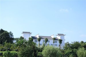 绿化景观