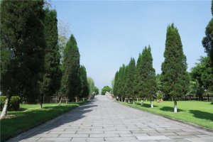 道路